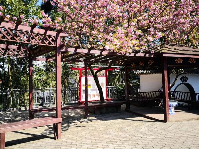 养正学校校园风光